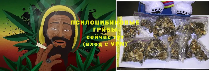 Псилоцибиновые грибы Magic Shrooms Карабаново